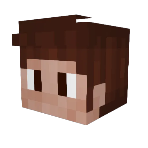 dsmith529 Minecraft avatar head, 3D render