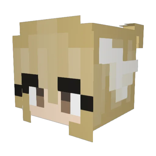 dsmp100 Minecraft avatar head, 3D render