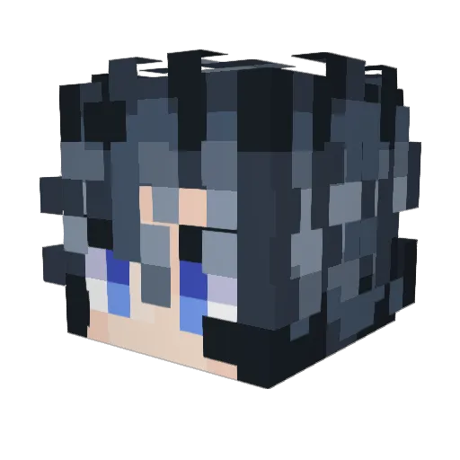 dsn_ripple Minecraft avatar head, 3D render