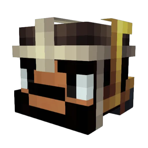 dso14 Minecraft avatar head, 3D render