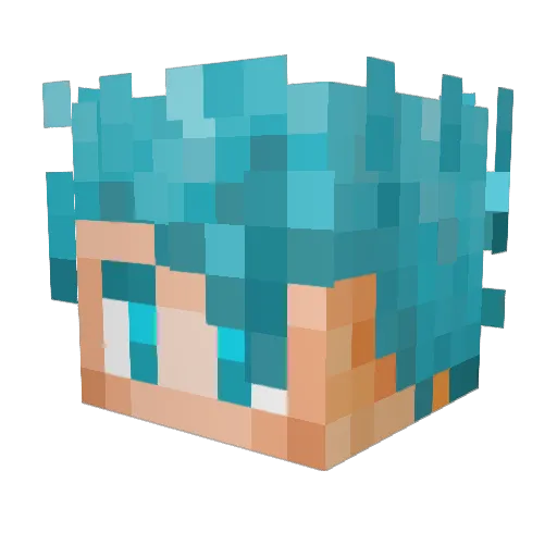 dsomonteiro Minecraft avatar head, 3D render
