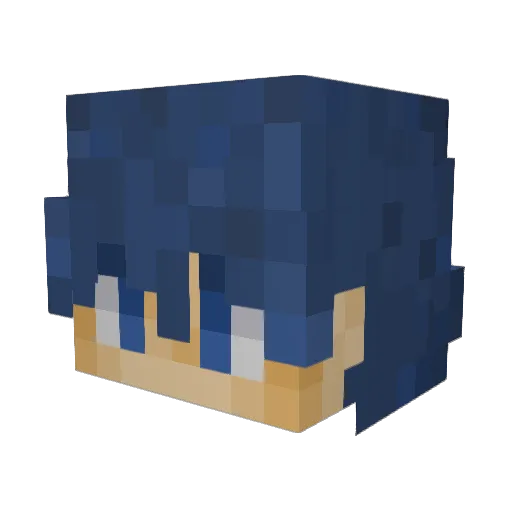 dss300 Minecraft avatar head, 3D render
