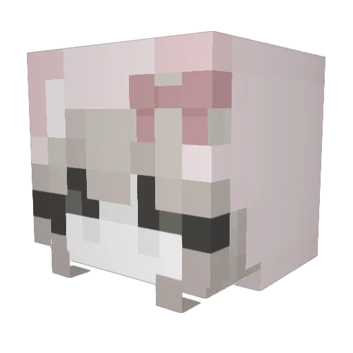 dsss3369 Minecraft avatar head, 3D render