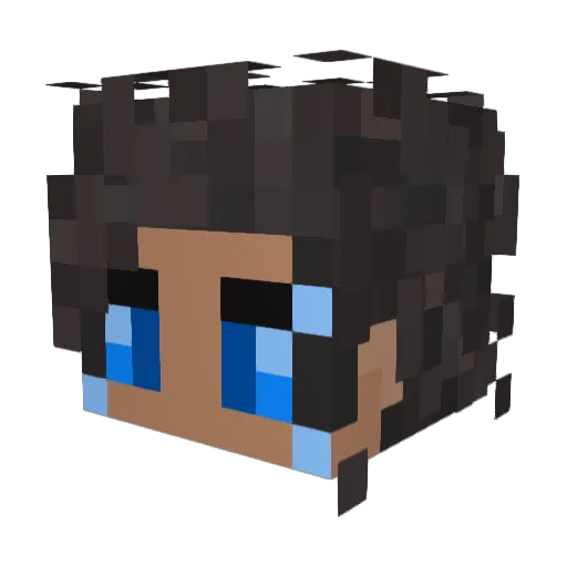 dstarrrr Minecraft avatar head, 3D render
