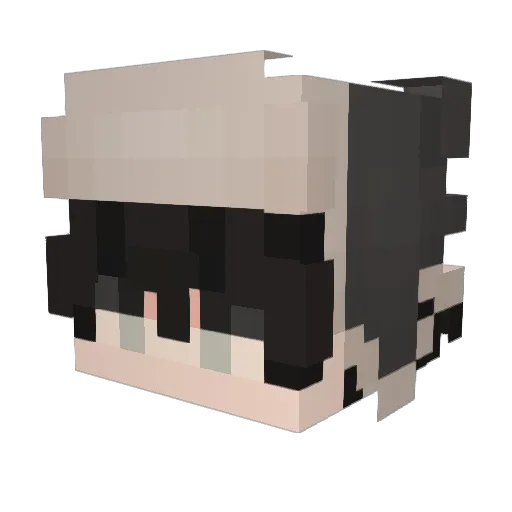 dsucic1 Minecraft avatar head, 3D render