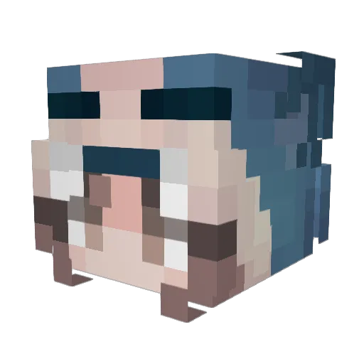 dsui Minecraft avatar head, 3D render