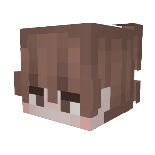 dsviid Minecraft avatar head, 3D render