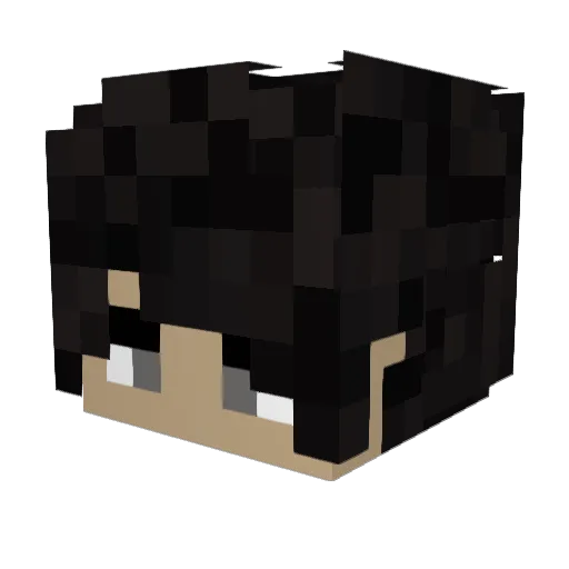 dswhiterice12 Minecraft avatar head, 3D render