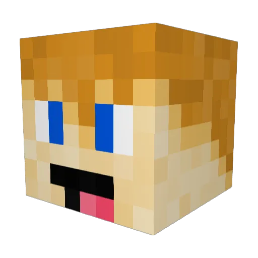 dsws Minecraft avatar head, 3D render