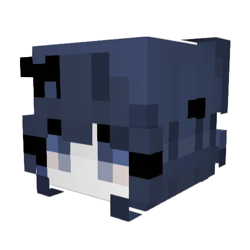 dtFz Minecraft avatar head, 3D render