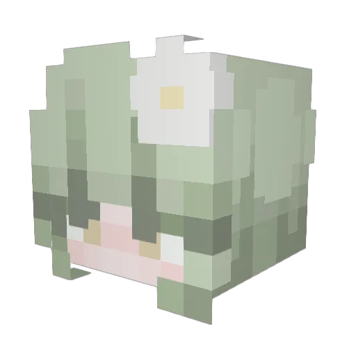 dtduue Minecraft avatar head, 3D render