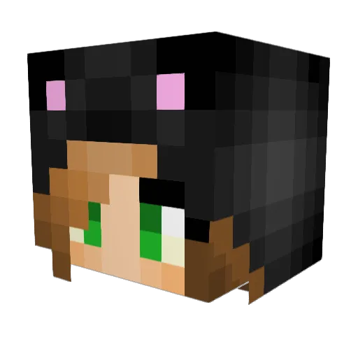 dthug123 Minecraft avatar head, 3D render