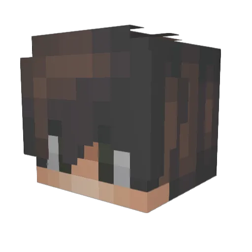 dtimur3 Minecraft avatar head, 3D render
