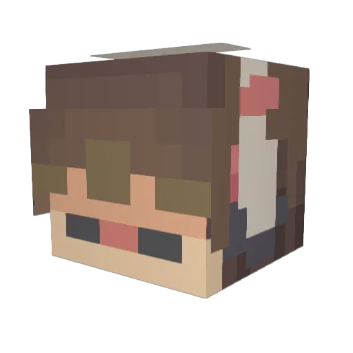 dtmijfeu Minecraft avatar head, 3D render