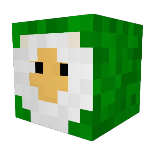 dtoyee Minecraft avatar head, 3D render