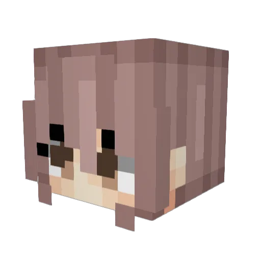 dtp99 Minecraft avatar head, 3D render