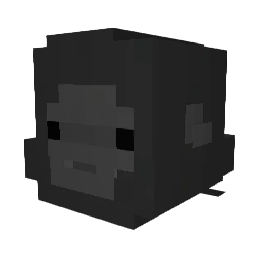 dtrxcs Minecraft avatar head, 3D render