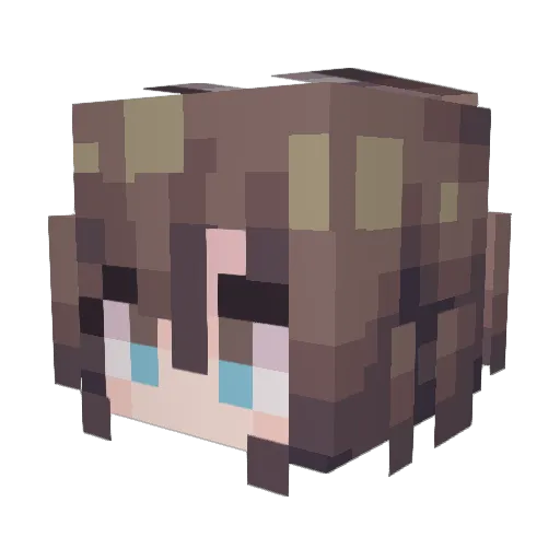 dtscorpio Minecraft avatar head, 3D render