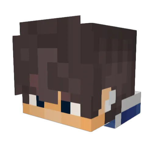 dtsjhc Minecraft avatar head, 3D render