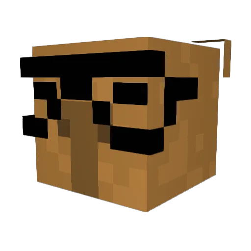 dtx24 Minecraft avatar head, 3D render