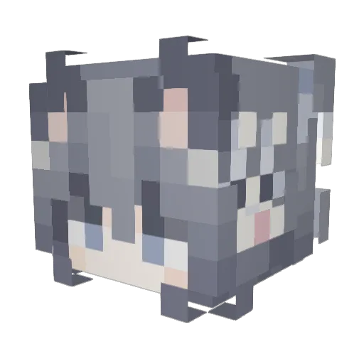 du_chong Minecraft avatar head, 3D render