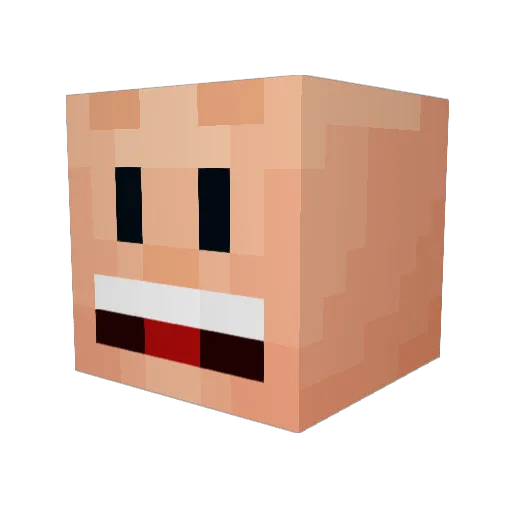duaality Minecraft avatar head, 3D render
