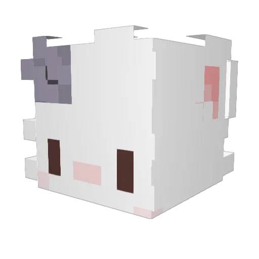 dualitys_ Minecraft avatar head, 3D render