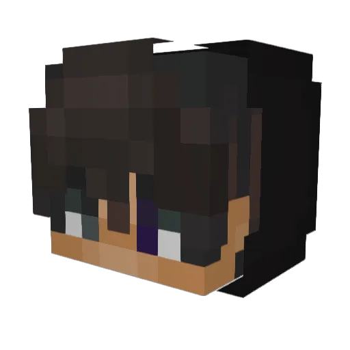 dualman6 Minecraft avatar head, 3D render