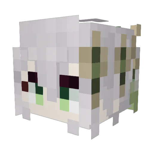 duange2 Minecraft avatar head, 3D render