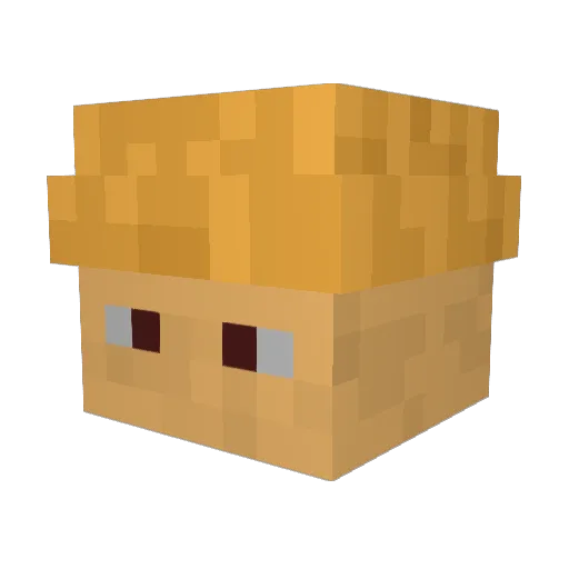 dub3210 Minecraft avatar head, 3D render