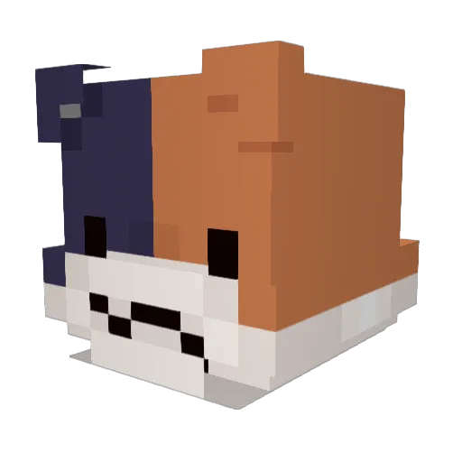 dubbbies Minecraft avatar head, 3D render