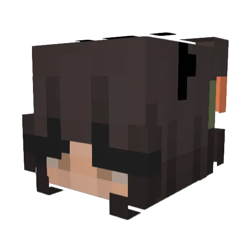 dubbysquirrel Minecraft avatar head, 3D render
