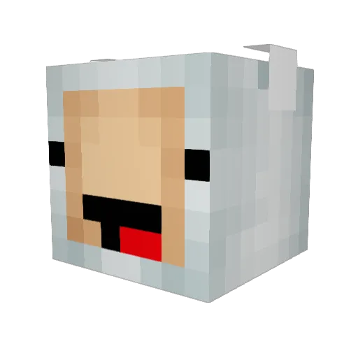 dubkitten Minecraft avatar head, 3D render