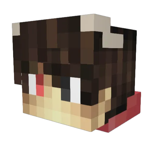 dublowduck Minecraft avatar head, 3D render