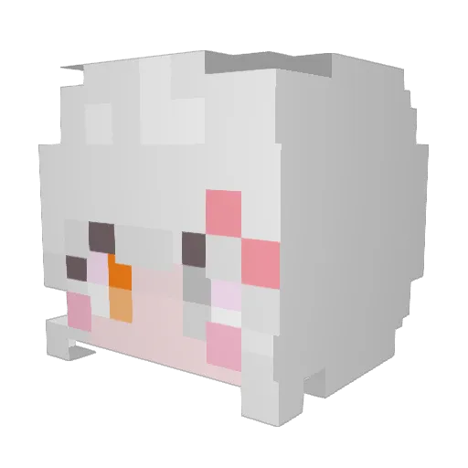 dubu200708 Minecraft avatar head, 3D render