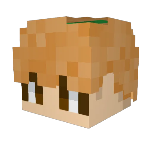 dubu_park Minecraft avatar head, 3D render