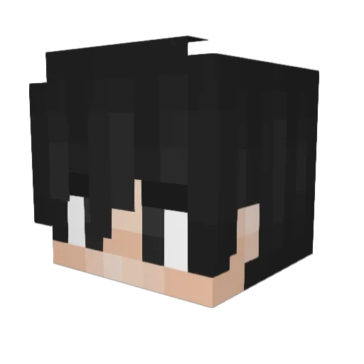 dububeji Minecraft avatar head, 3D render