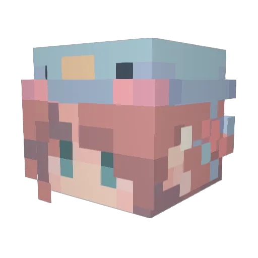 ducatesomeduck Minecraft avatar head, 3D render