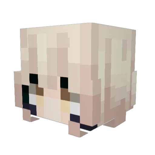 ducclingg Minecraft avatar head, 3D render