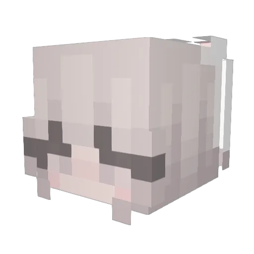 ducducgoose Minecraft avatar head, 3D render