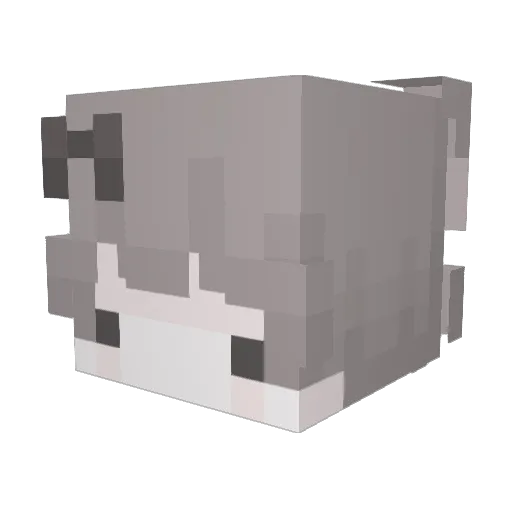 duchan2 Minecraft avatar head, 3D render
