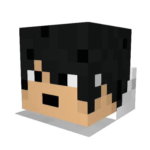 ducio1 Minecraft avatar head, 3D render
