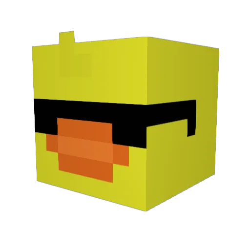 duck1195 Minecraft avatar head, 3D render