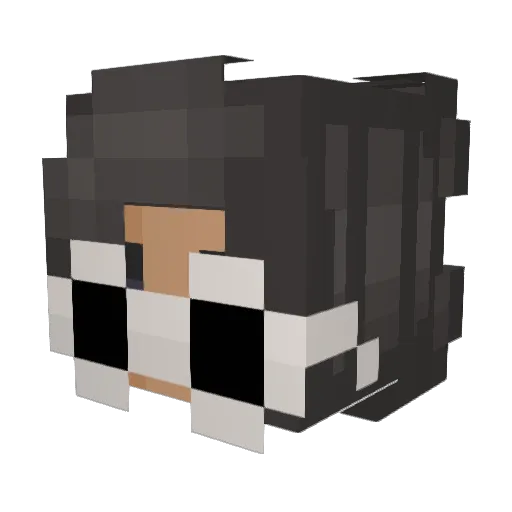 duck1eee Minecraft avatar head, 3D render