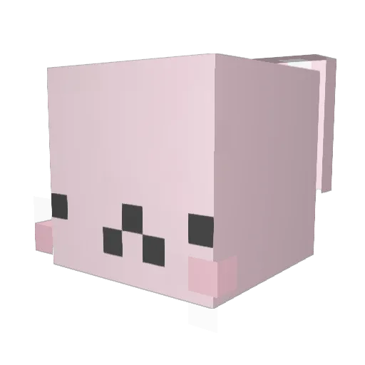 duck2026 Minecraft avatar head, 3D render
