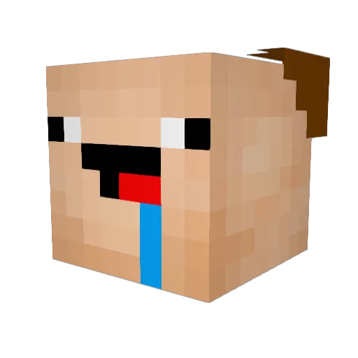 duck213 Minecraft avatar head, 3D render