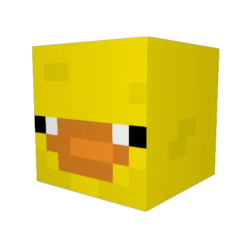 duck2424 Minecraft avatar head, 3D render