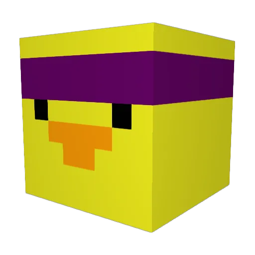 duck24710 Minecraft avatar head, 3D render