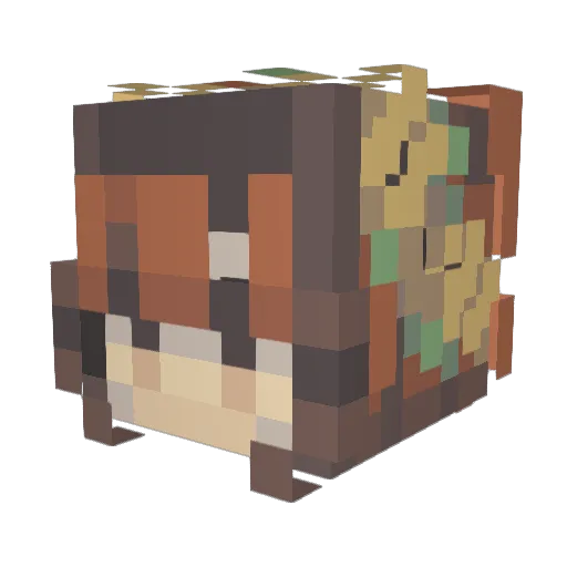 duck3t Minecraft avatar head, 3D render