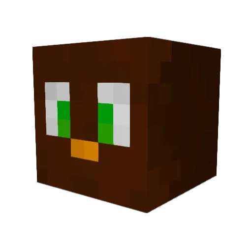 duck4796 Minecraft avatar head, 3D render